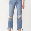 Lovervet High Rise Distressed Straight Jeans - Medium