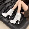 Point Toe High Heels Boots - White