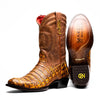 Phoenix Mustard Brown - Mustard/Brown