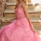 Juliet 268 Embroidered Sparkle Tulle Ball Gown