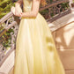Juliet 268 Embroidered Sparkle Tulle Ball Gown