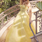 Juliet 268 Embroidered Sparkle Tulle Ball Gown