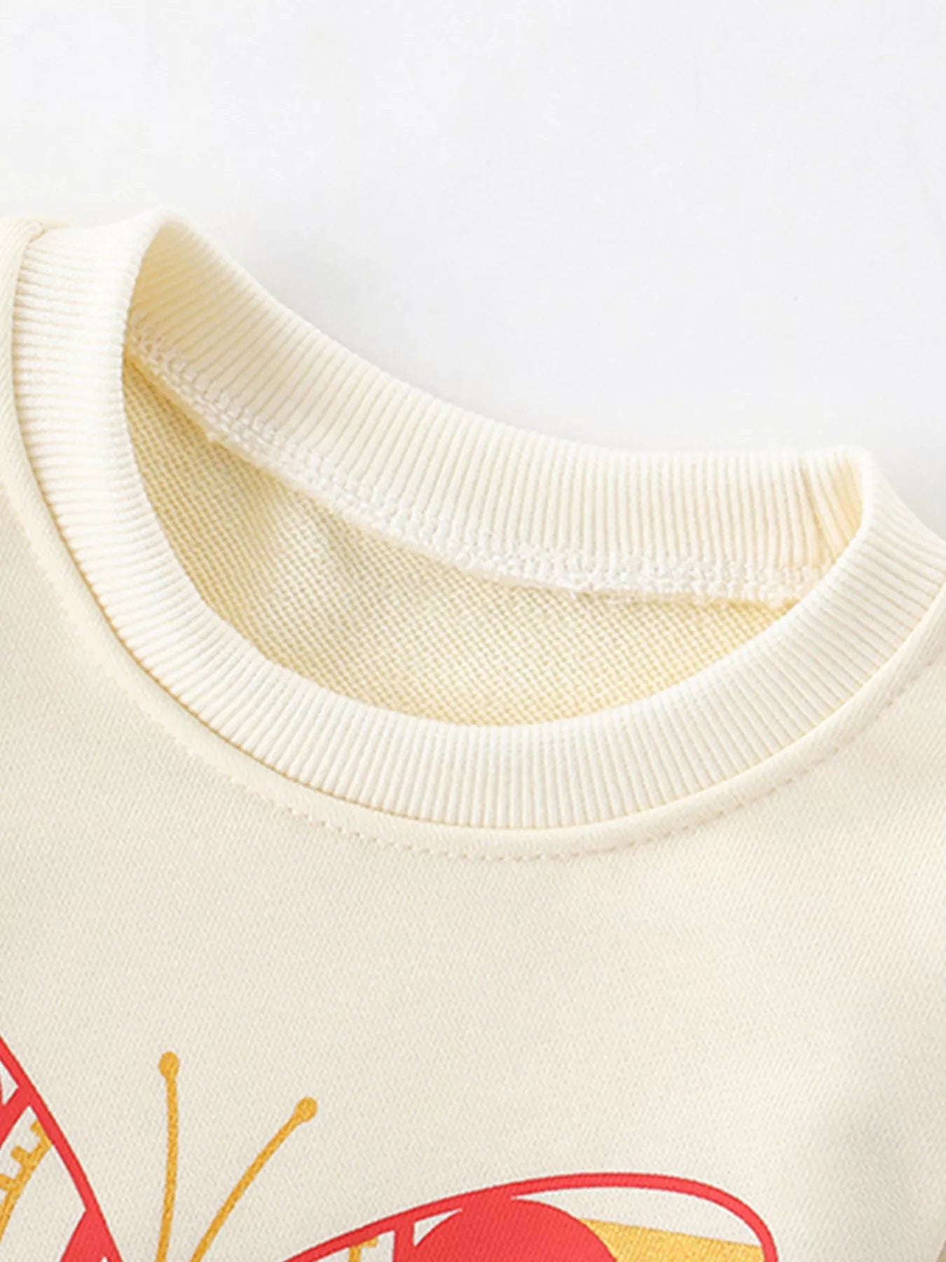 Children's Butterfly Graphic Crew Neck Sweatshirt - Farnelli