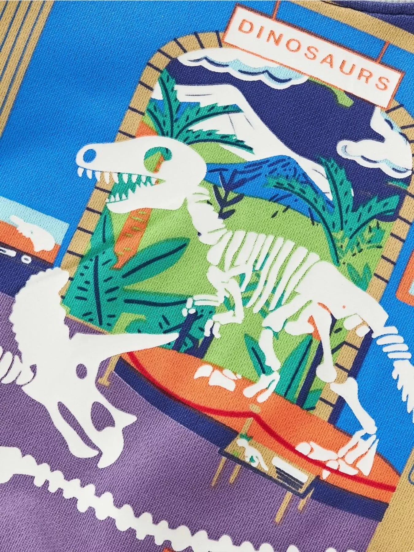 Children's Dinosaur Museum Graphic Crew Neck Sweatshirt - Farnelli