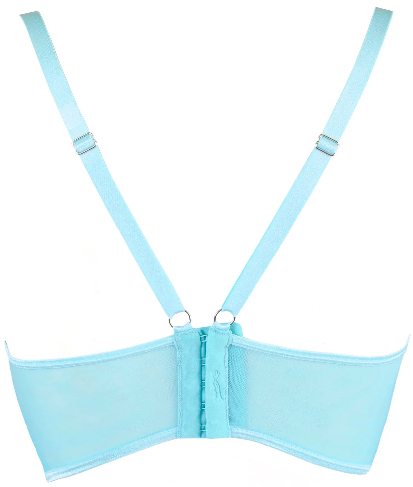 Axami Alice Sheer Deep Plunge Bra-3