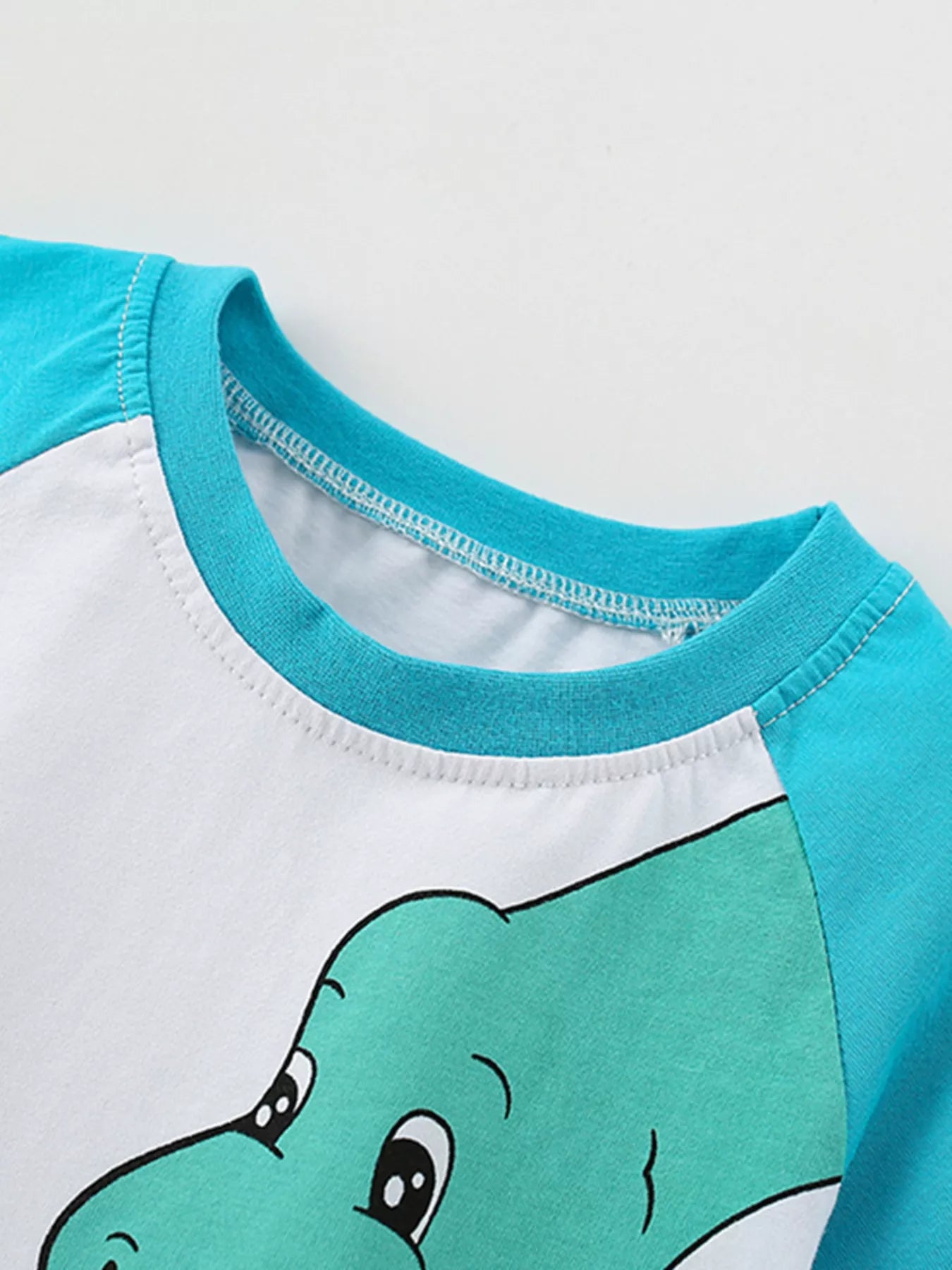 Children's Dinosaur Raglan Sleeve T-Shirt - Farnelli