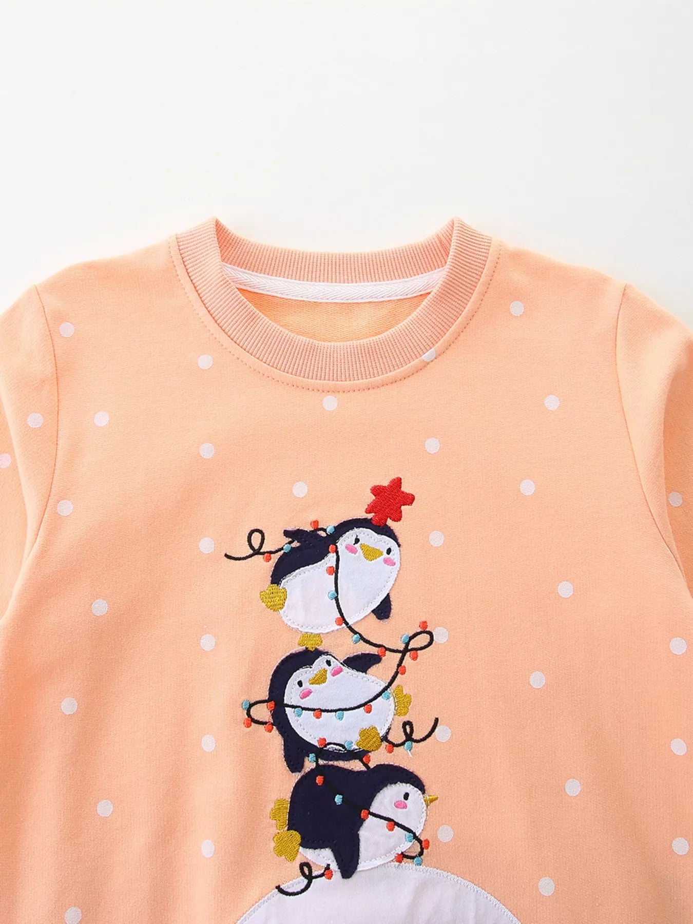 Children's Penguin Round Neck Sweatshirt - Farnelli