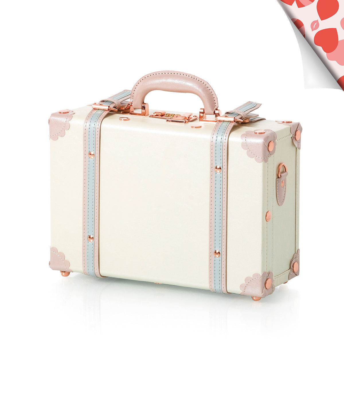 [title] Train Case | Farnelli