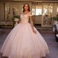 Juliet 1430 Dress Quinceanera Ball Gown Embroidered Applique Glitter Tulle
