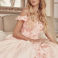Juliet 1433 Dress Quinceanera Ball Gown 3D Floral Embroidered