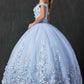 Juliet 1434 Dress Quinceanera Ball Gown 3D Floral Embroidered