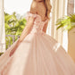 Juliet 1434 Dress Quinceanera Ball Gown 3D Floral Embroidered