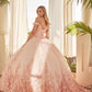 Juliet 1434 Dress Quinceanera Ball Gown 3D Floral Embroidered
