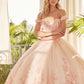 Juliet 1434 Dress Quinceanera Ball Gown 3D Floral Embroidered