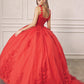 Juliet 1437 Floral Applique Quinceanera Ball Gown With 3D Flowers