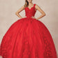 Juliet 1437 Floral Applique Quinceanera Ball Gown With 3D Flowers