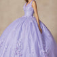 Juliet 1437 Floral Applique Quinceanera Ball Gown With 3D Flowers