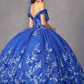 Juliet 1447 Long 3D Floral Appliques Off Shoulder Poofy Ball Gown