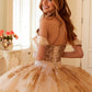Juliet JT1488H Royal Princess A-Line Ball Gown Quinceanera