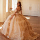 Juliet JT1488H Royal Princess A-Line Ball Gown Quinceanera