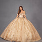 Juliet JT1488H Royal Princess A-Line Ball Gown Quinceanera