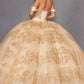 Juliet JT1488H Royal Princess A-Line Ball Gown Quinceanera
