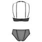 Sexy Sheer Demi Bra & Mesh Bikini Panty Set Majesty-3
