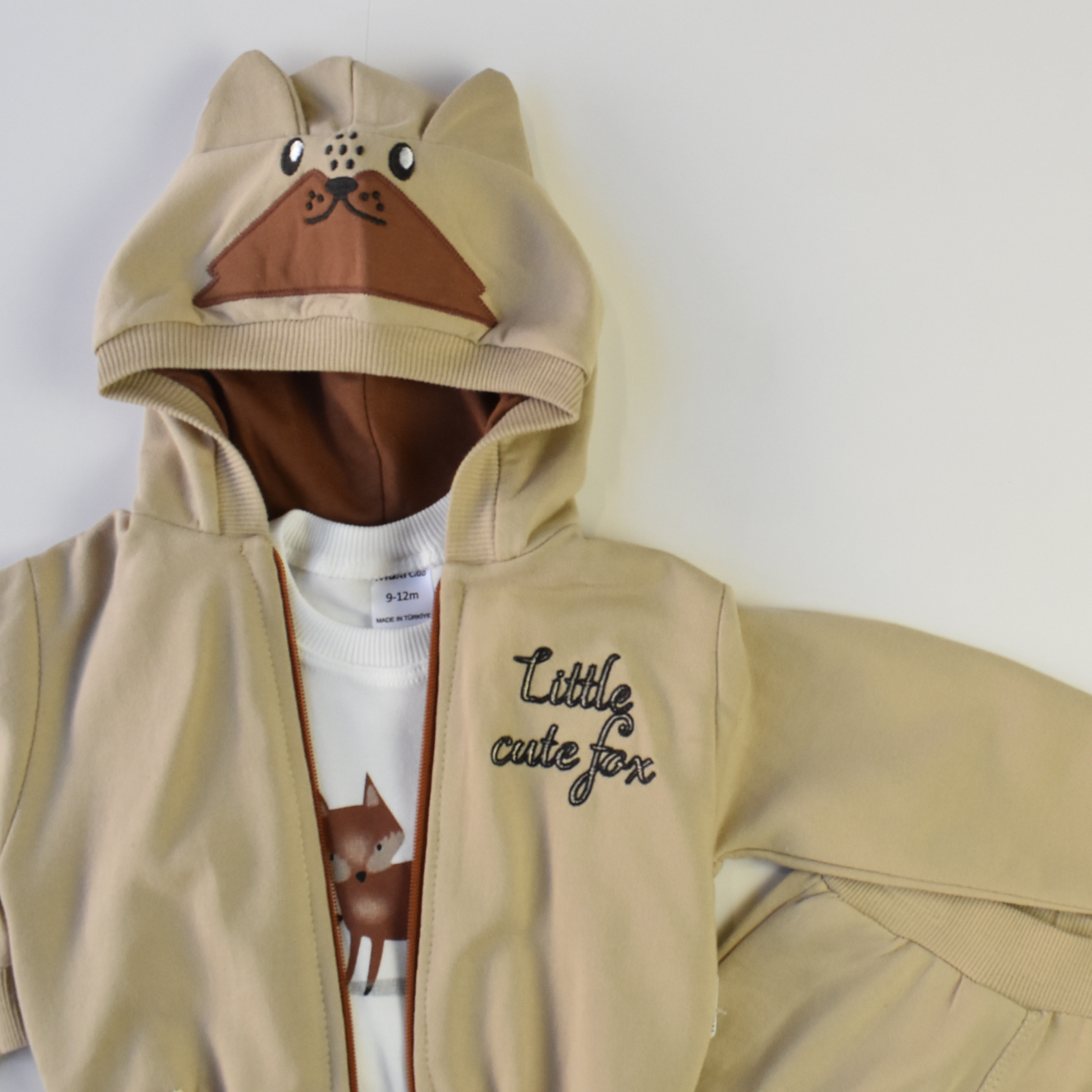 Cute Fox Boys Hoodie Set-2