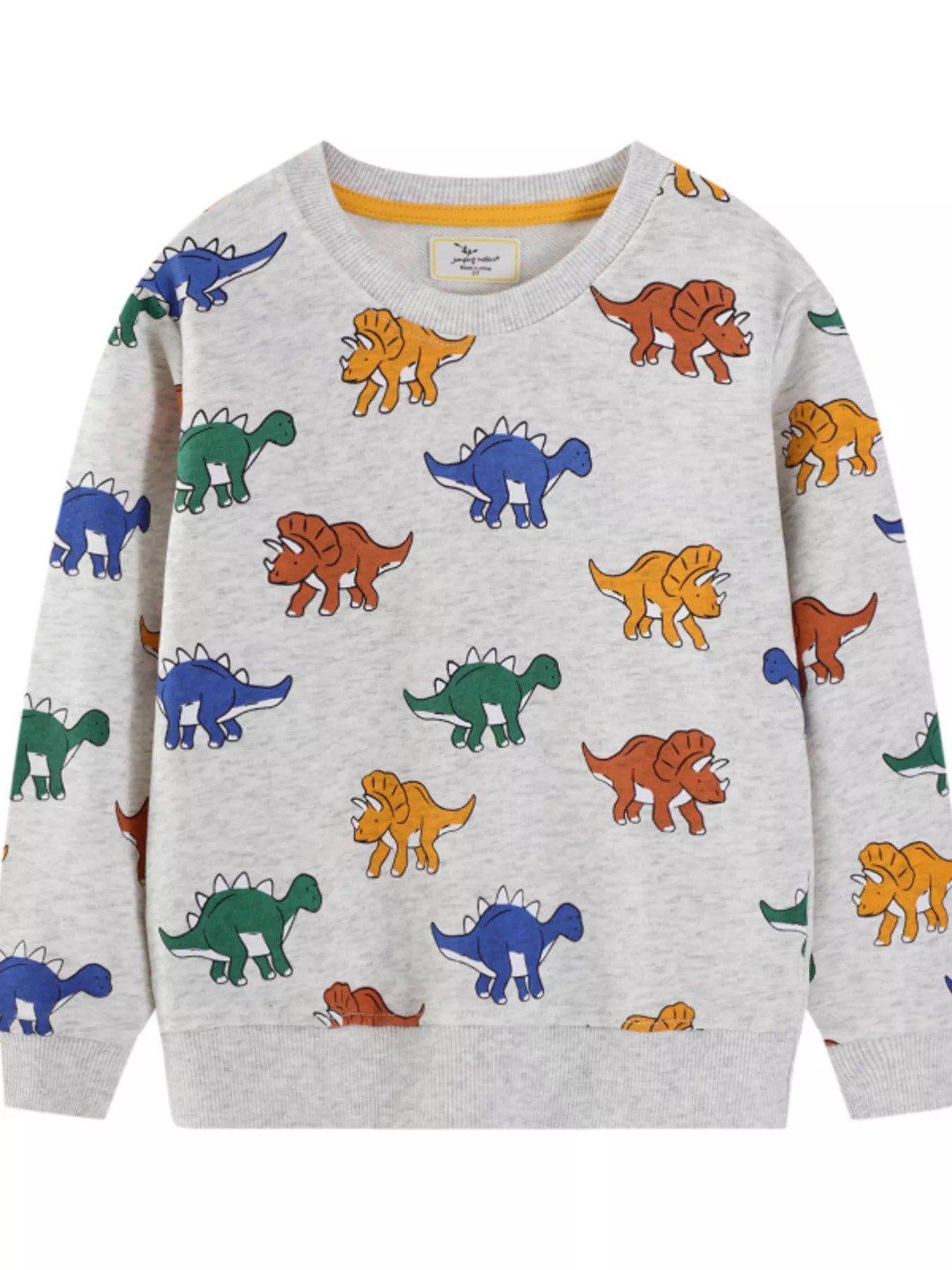 Children's Dinosaur Print Crew Neck Sweatshirt - Farnelli