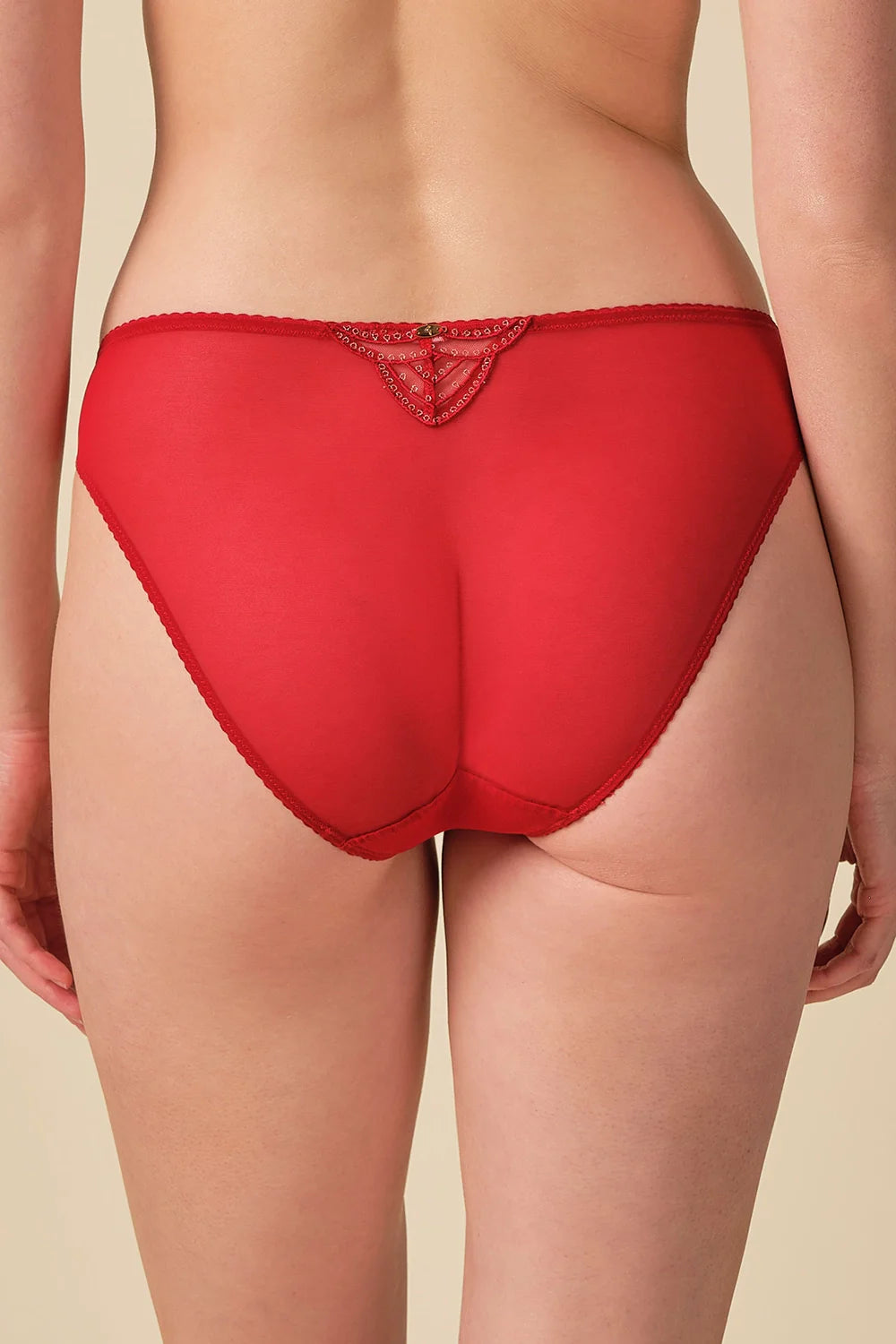Gossard Viva Red Sheer Embroidered Bikini Panties-1