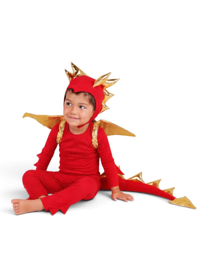 Red Dragon Costume