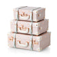 Minimalism Train Case - Cherry Pink's
