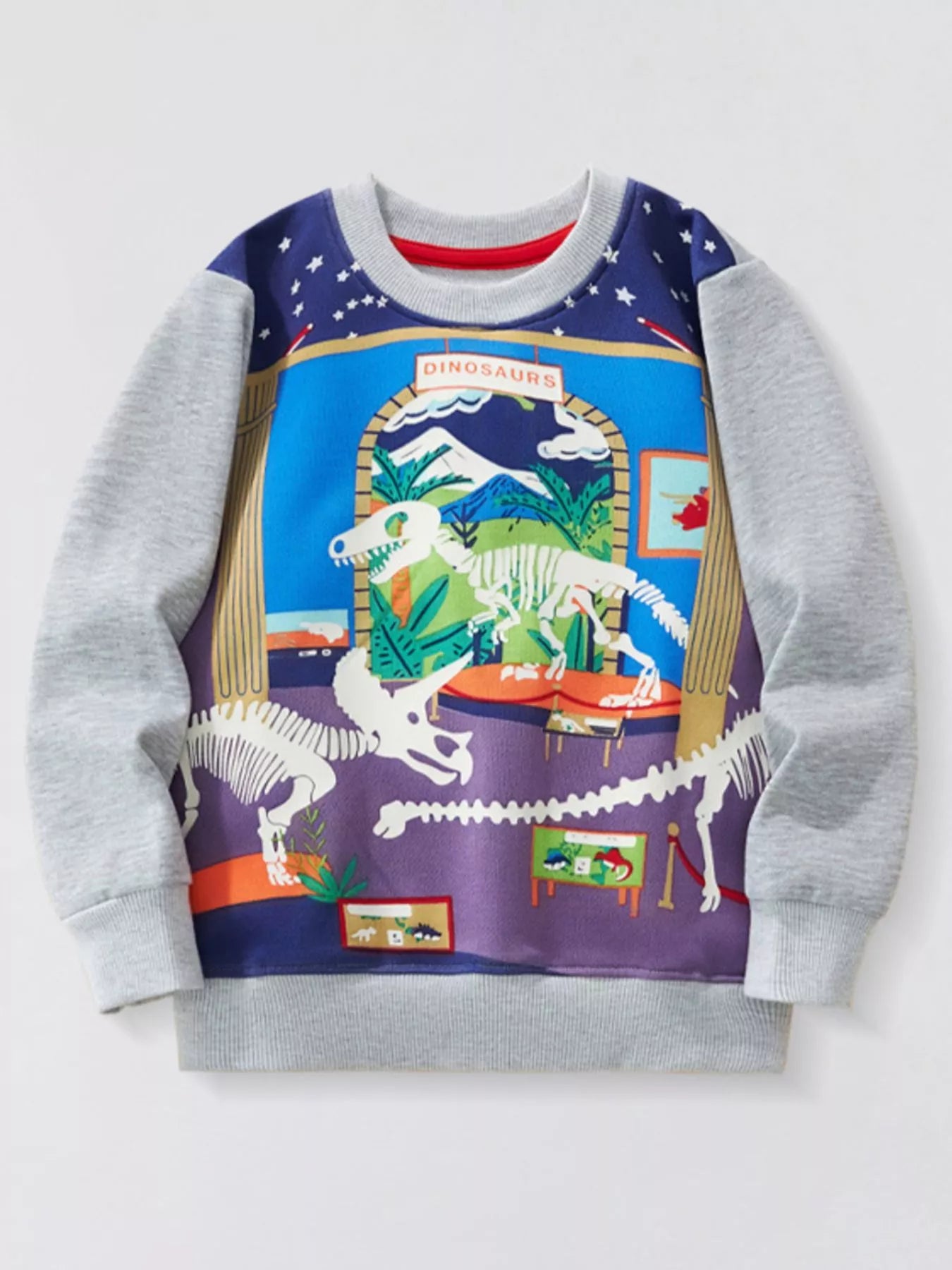 Children's Dinosaur Museum Graphic Crew Neck Sweatshirt - Farnelli