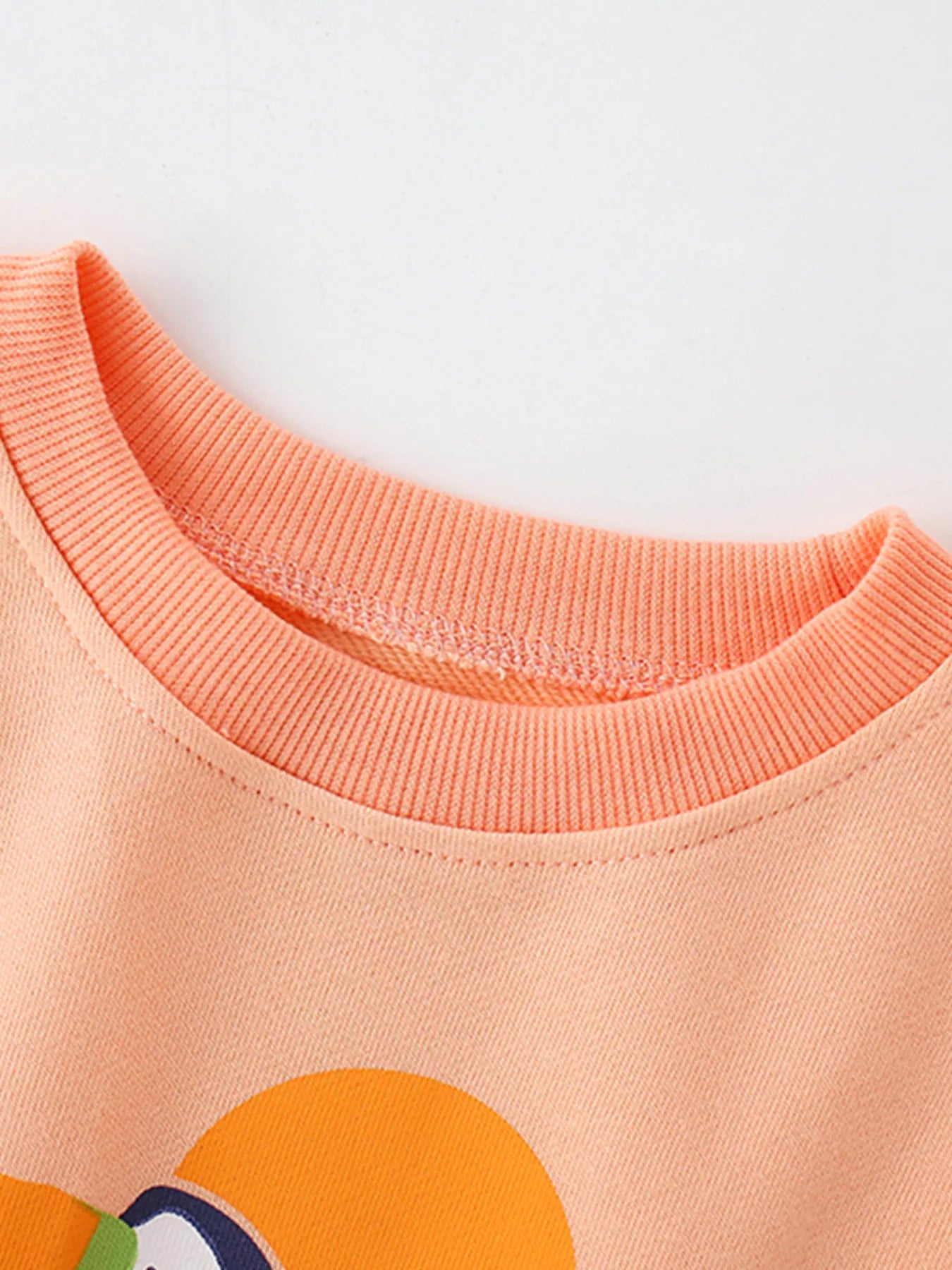 Children's Bird Graphic Crew Neck Sweatshirt - Farnelli