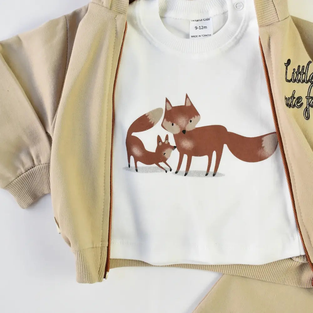 Cute Fox Boys Hoodie Set-3