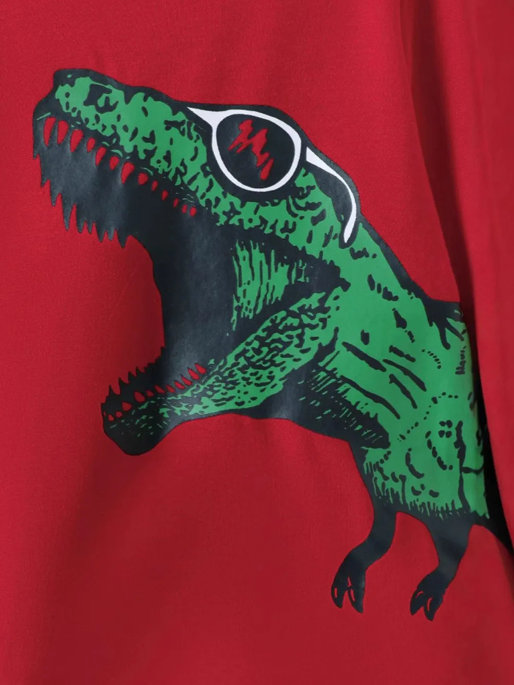 Dinosaur Round Neck Long Sleeve Top and Distressed Pants Set - Farnelli