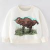 Children's Dinosaur Graphic Crew Neck Sweatshirt - White