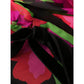 Saint Laurent Pink Dresses - Day Dresses Women