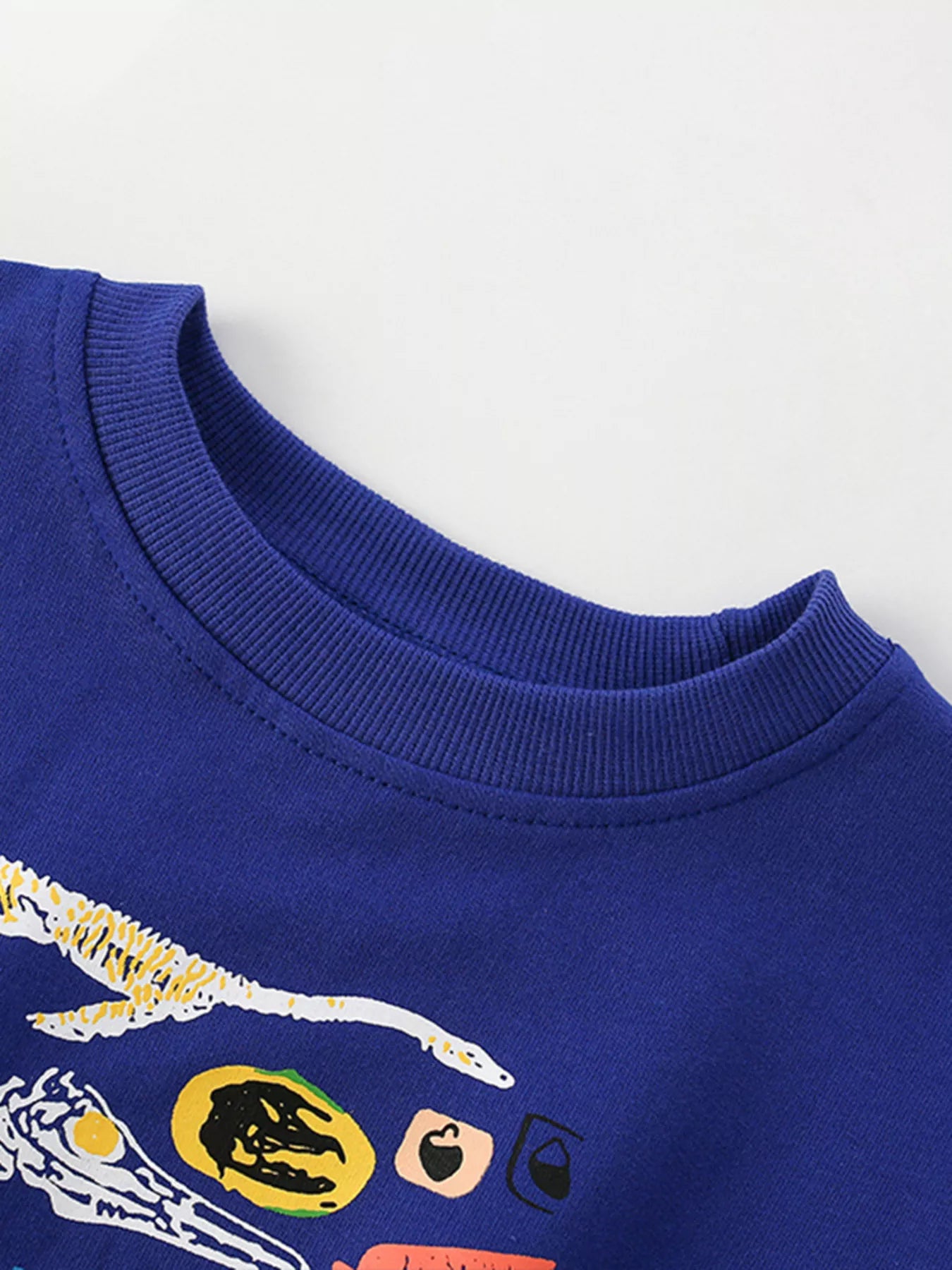 Children's Dinosaur Crew Neck Sweatshirt - Farnelli