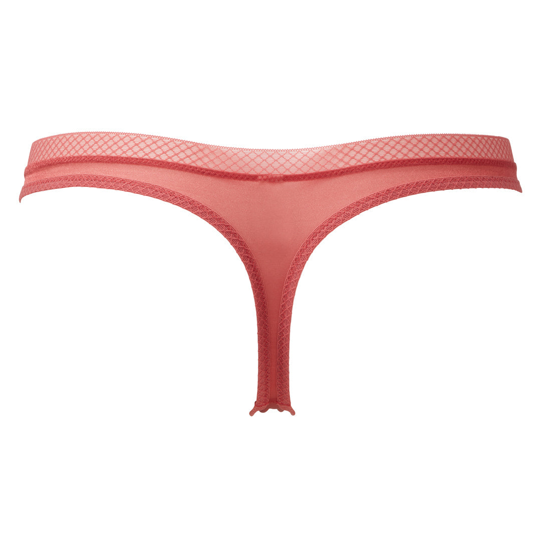 [title] Thong Panty | Farnelli