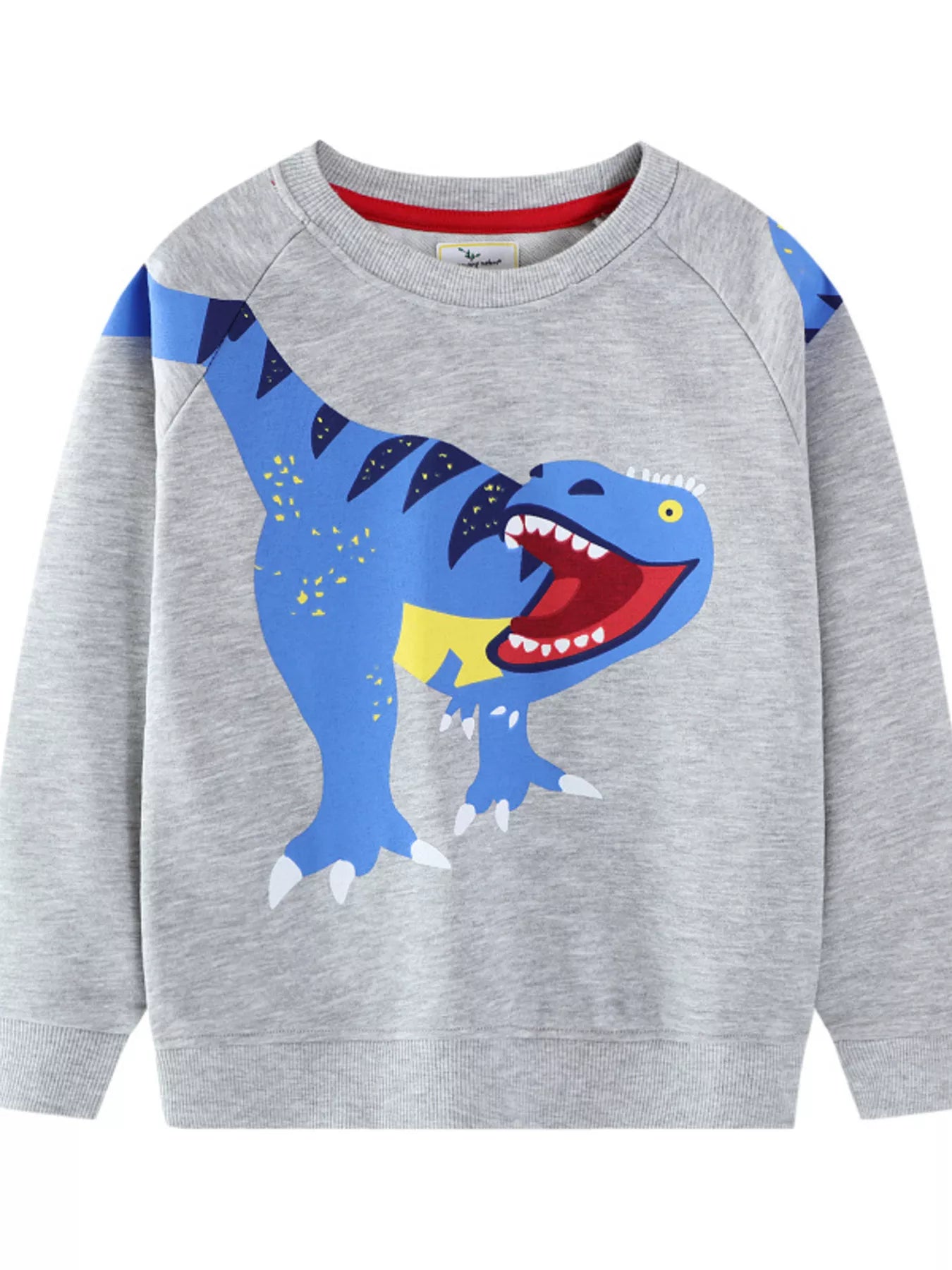 Children's Dinosaur Crew Neck Sweatshirt - Farnelli
