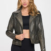 Coalition LA Studded Classic Moto Faux Leather Jacket - Brown
