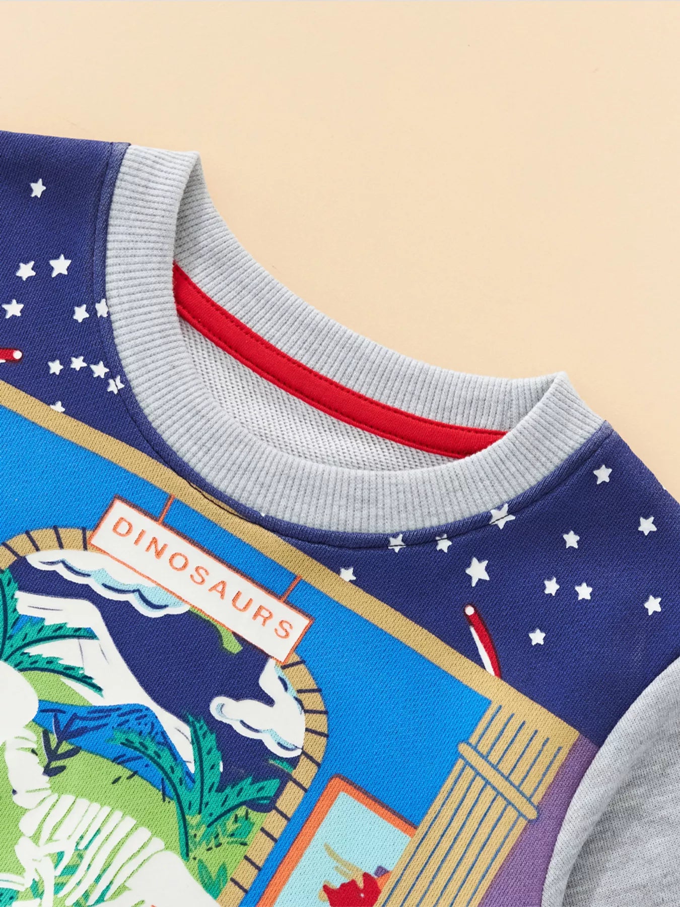 Children's Dinosaur Museum Graphic Crew Neck Sweatshirt - Farnelli
