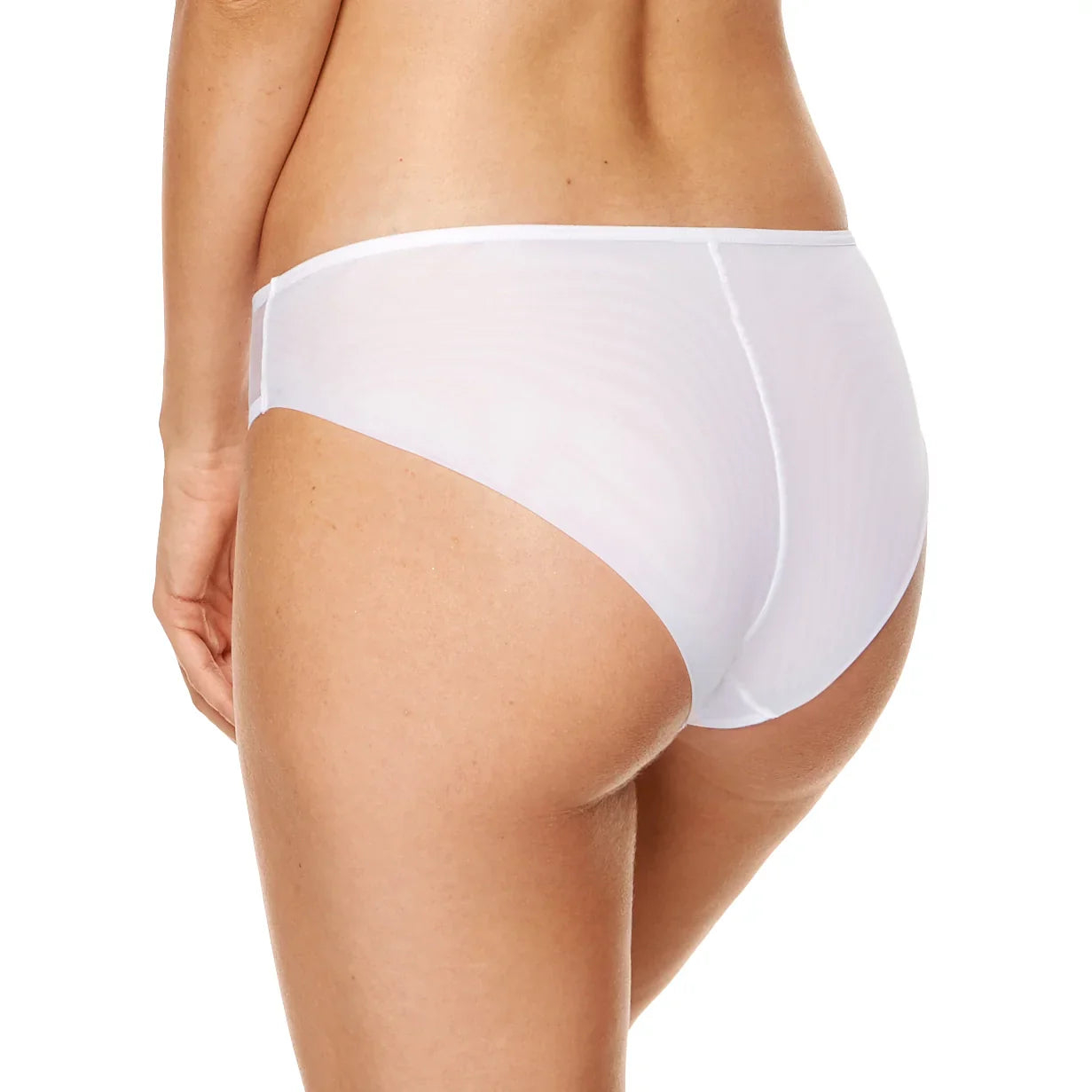 Gorteks Angel Sheer Mesh Embroidery Bikini Panty-1