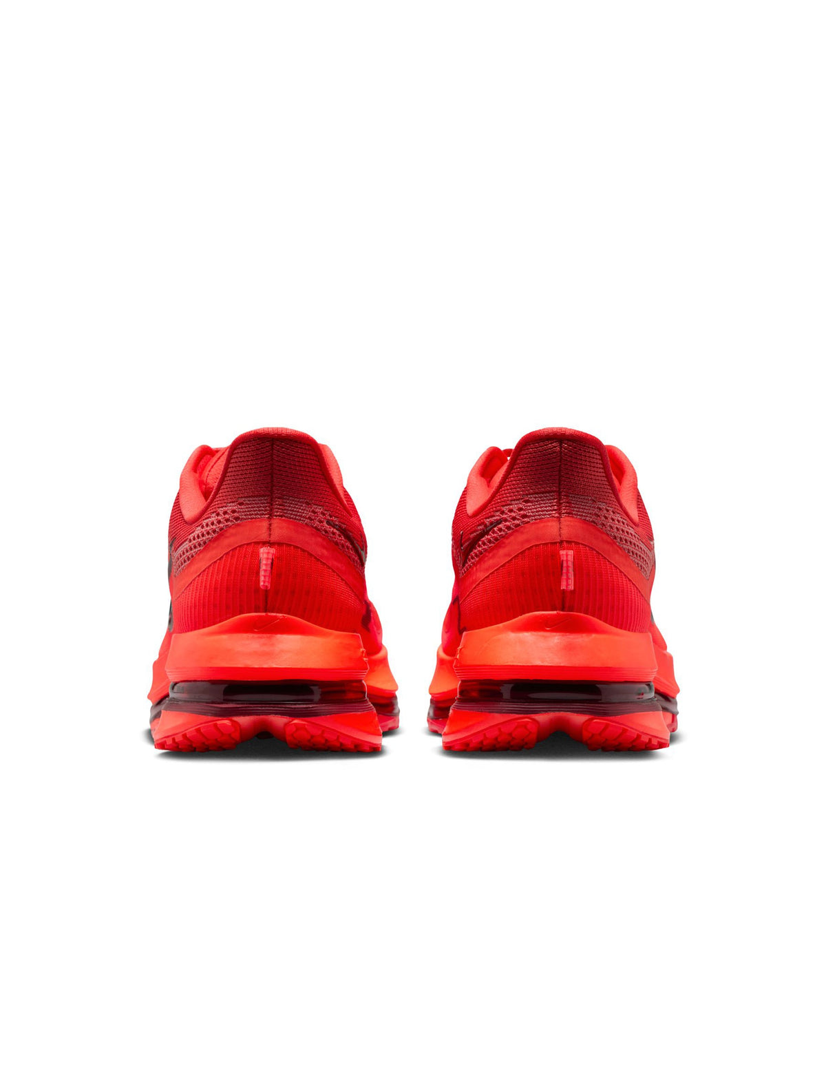 Nike Men's Pegasus Premium Light Crimson footwear by Denim Exchange sneaker product image
