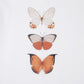 Orange Butterfly Girls Casual Set-2