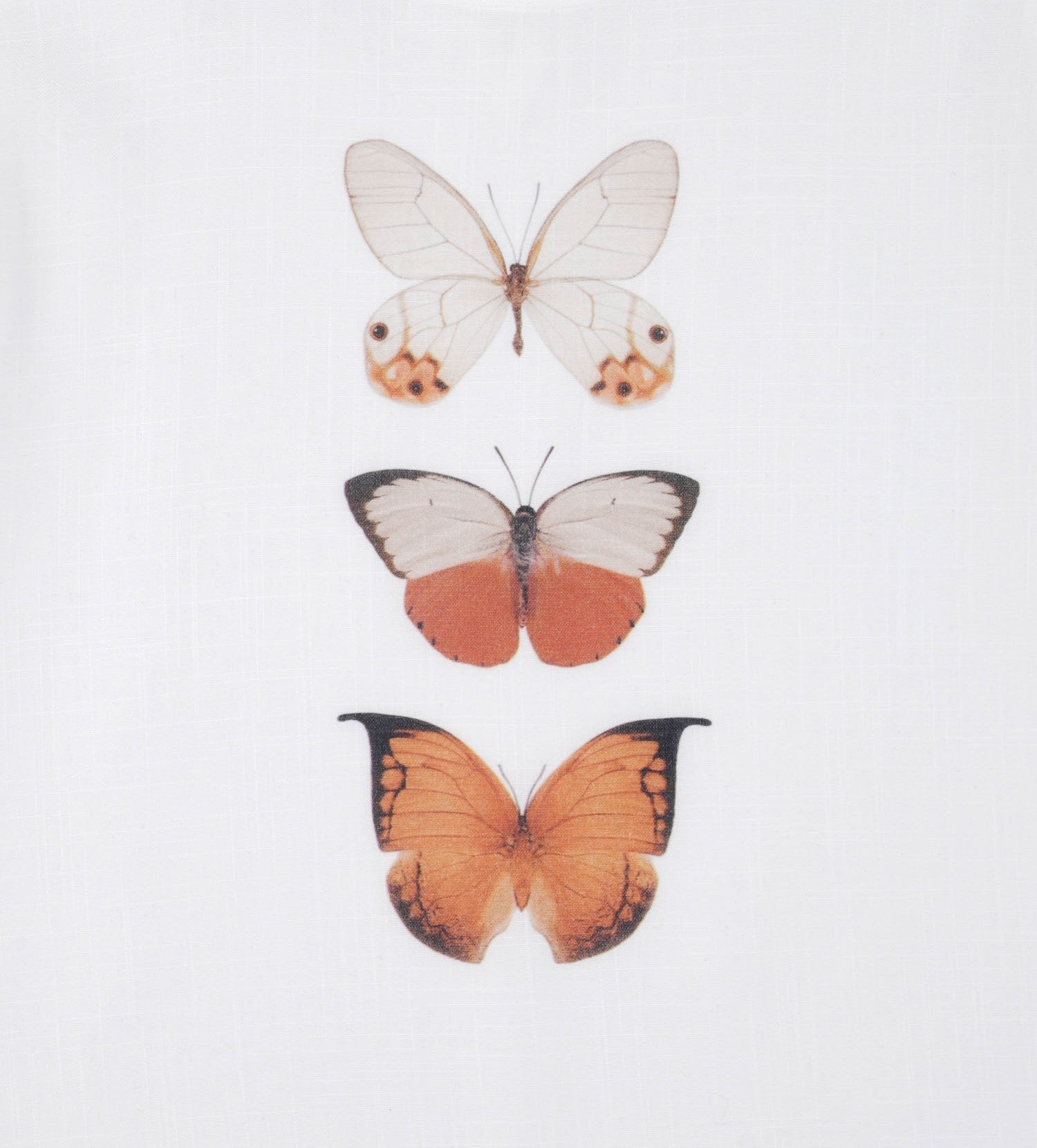 Orange Butterfly Girls Casual Set-2