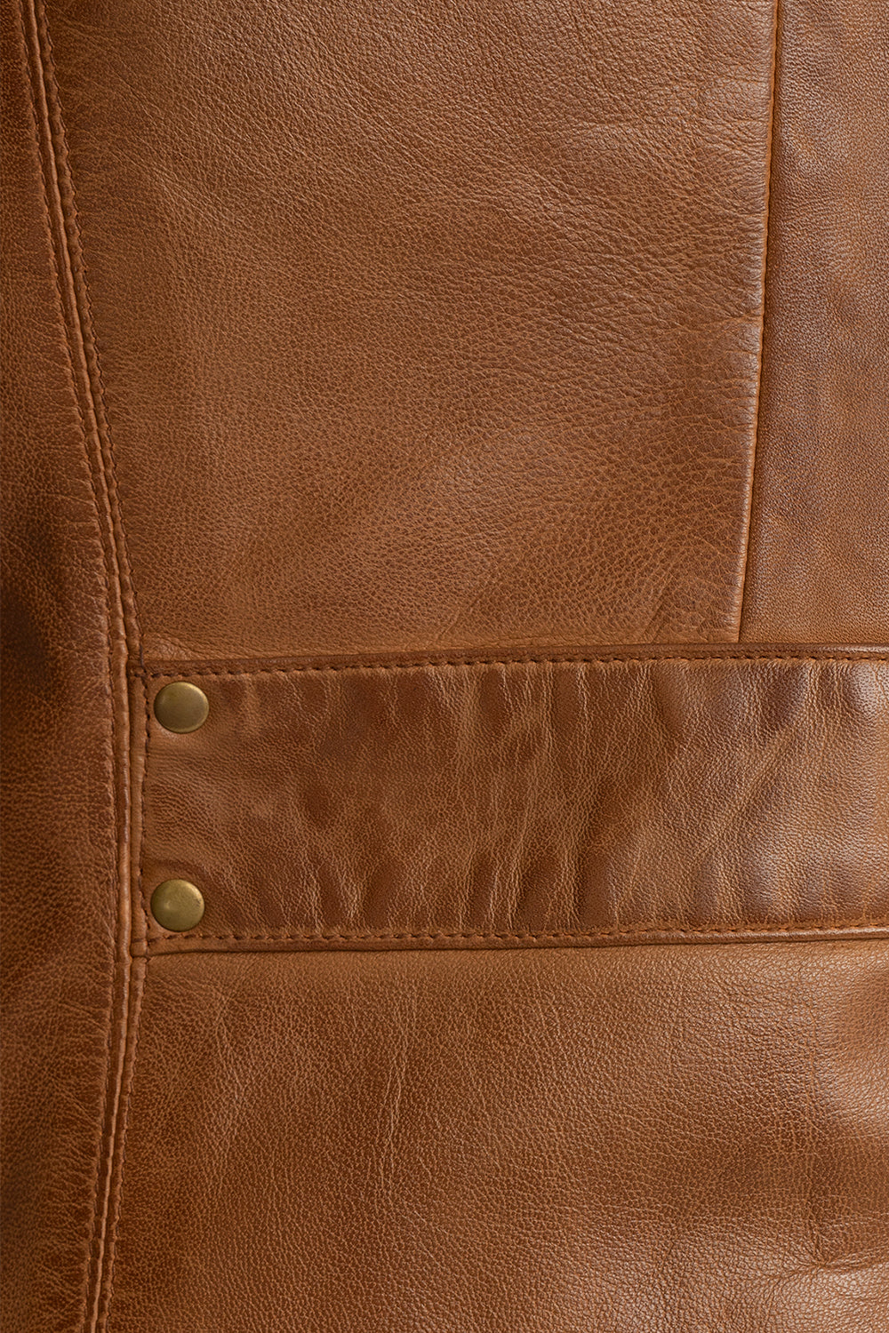 Whet Blu NYC Rexie women's dark cognac leather jacket back view