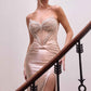 Ladivine CA121 Long Fitted Gown Embellished Corset Bodice Sweetheart