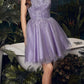 Cinderella Divine CD0212 Layered Tulle A-Line Short Dress
